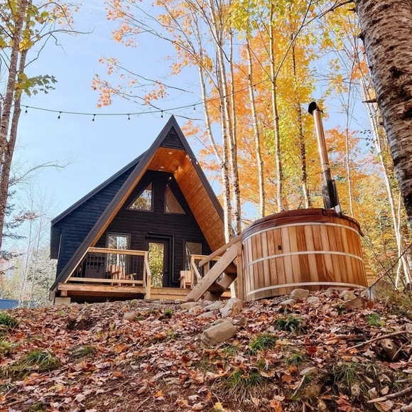 Meet your Posher, Sam! - Picture 3 of 3